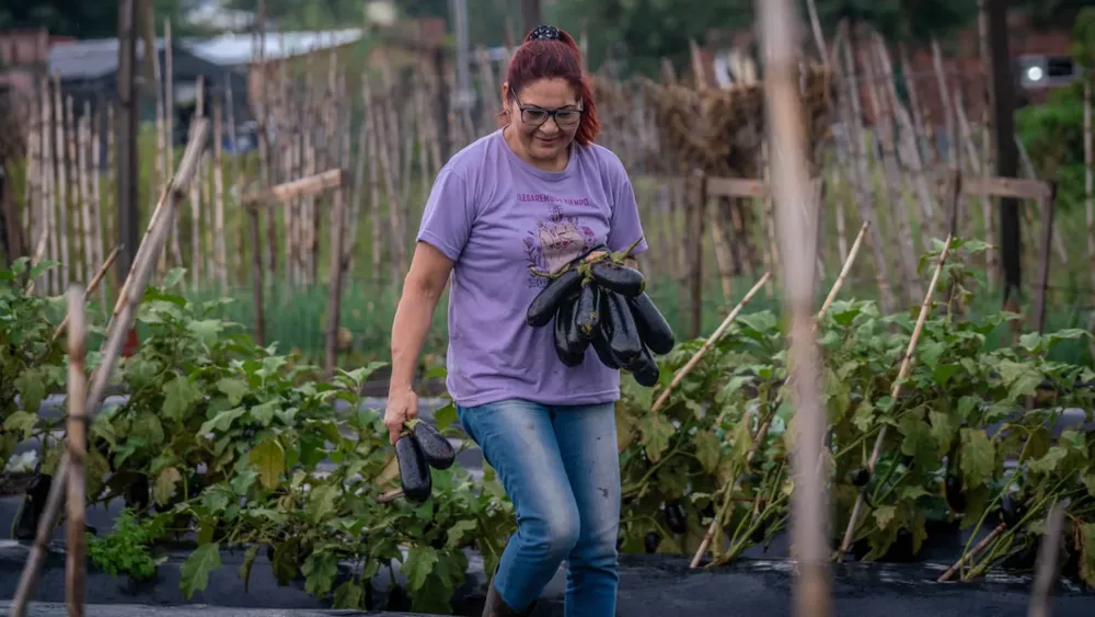 WhatsApp Image 2026-04-08 at 18.05.50