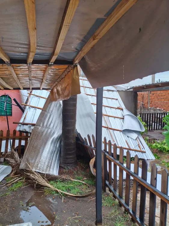 WhatsApp Image 2026-02-03 at 16.54.10